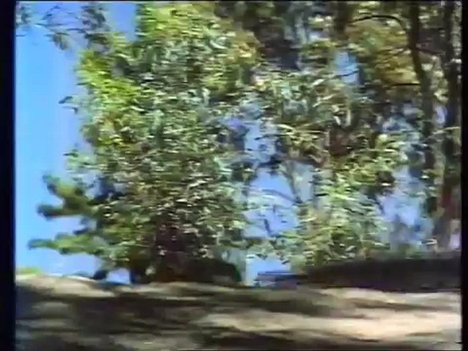 NISSAN PATROL 4WD WAGON (TV ad)