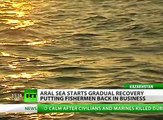 Aral Sea Part III: Return of the Fish?