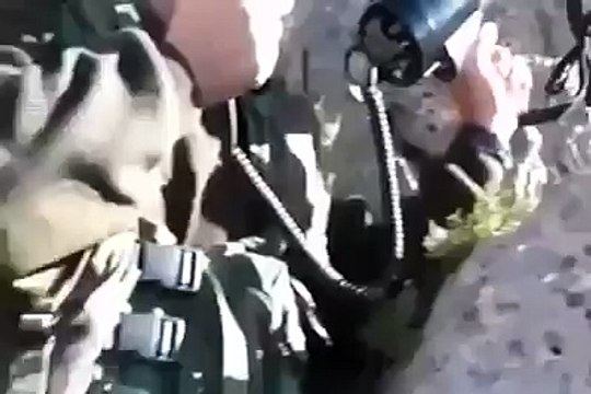 Tunceli de PKK lıların teslim oluşu 01.09.2015