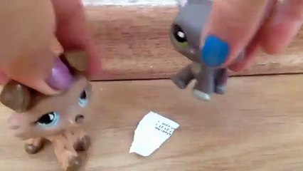 MusiC VideO:Aşk (Lps Coco Tv)