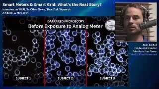 AN ABSOLUTE MUST HEAR: SMART METERS & SMART GRID - THE REAL STORY