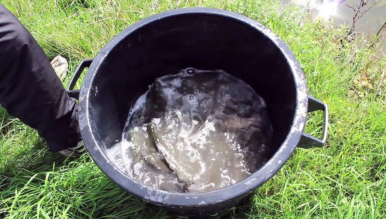 Rempoissonnement à Etroeungt