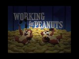 Donald Duck: Working for Peanuts - Disney Cartoons Online | Zatema Zante