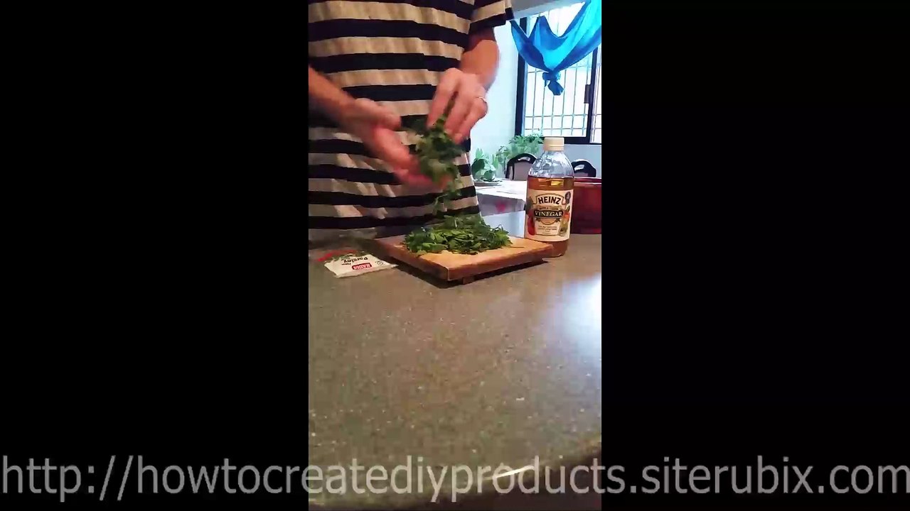 Homemade Mosquito Repellent