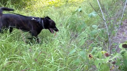 Pasadena Police Department Recruiting Video