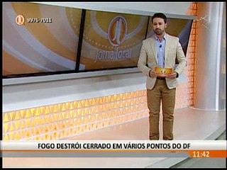 FOGO DESTRÓI CERRADO EM VÁRIOS PONTOS DO DF