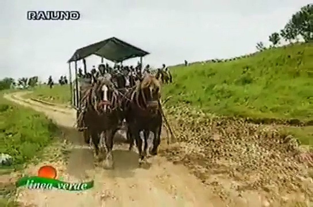 Linea Verde - Molise (La transumanza)