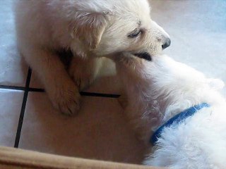 Une après-midi bien chargée