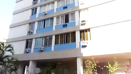 Saving a Cat from Falling