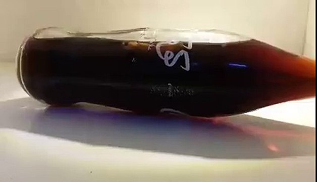 عاجل و خطير بالفيديو :o : بعد الفأر في قارورة الزيت ...جسم غيب في قارورة كوكاكولا بدكان ببنزرت :o