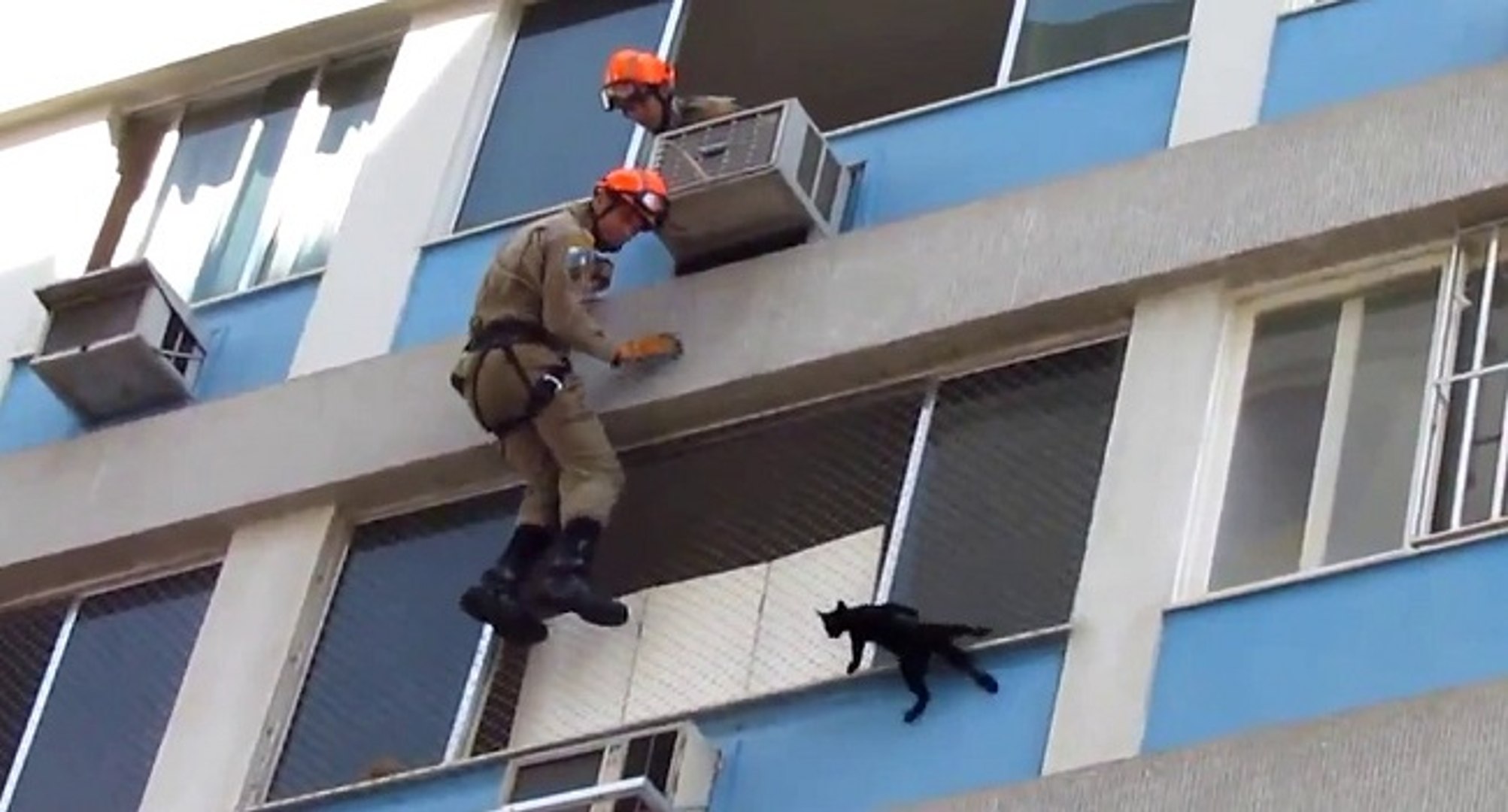 Le Sauvetage D Un Chat Par Des Pompiers Video Dailymotion