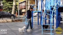 Child Abduction - Social Experiment (One Share Can Save A Life)