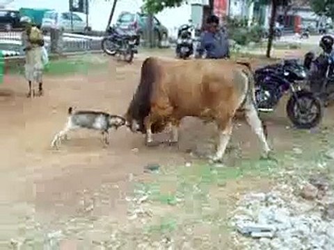 imran khan vs corrupted Politicians