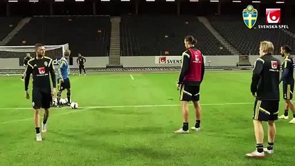 Zlatan Ibrahimovic Insane goal with left foot at Sweden training!