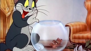 Tom and Jerry, 6 Episode - Puss n’ Toots (1942) Hindi/Urdu HD