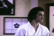 STEVEN SEAGAL AIKIDO RANDORI