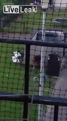 Dirty bitch getting caught pissing near the bin, Northfield Aberdeen. #caughtdrunk