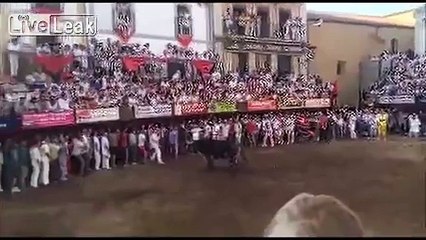 Tragic bullfight !