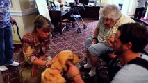Iams Love Tails - Brooks the Therapy Dog; Augusta, GA (long version)