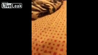 Pussy ex husband stands by and records crazy ex wife beating his kid!