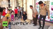 State of Palestine: See how Gazans take their LIONS for a walk!