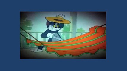 Tom And Jerry Cartoon - The Zoot Cat