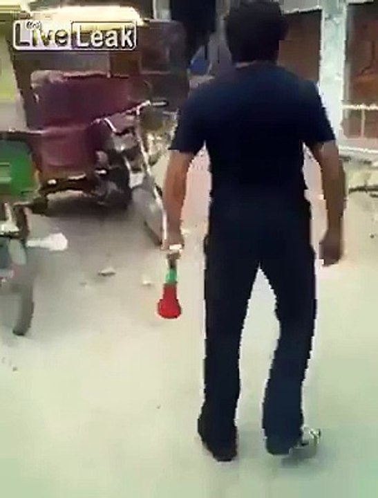 Teasing a stray dog .. abuse?