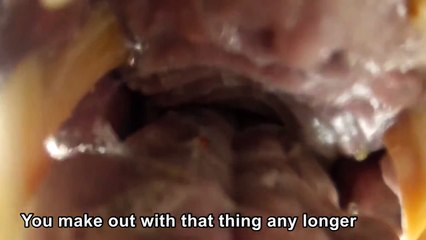 A Grizzly Bear Eats My GoPro W/ AUDIO - Voice-Ovary Edition