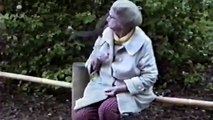 A woman trains a wild squirrel to give her a kiss. Amazing