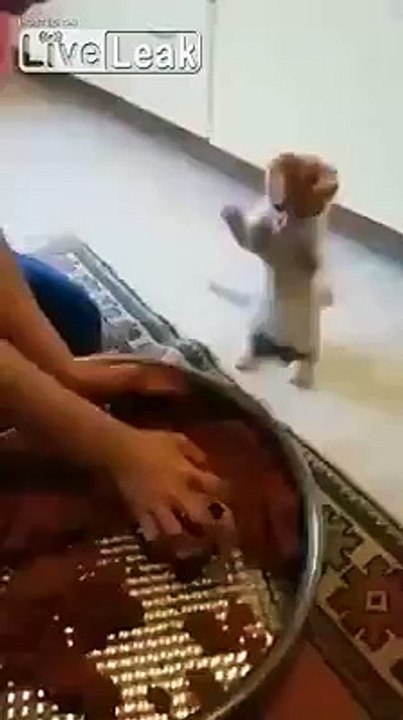 You will give me your hand