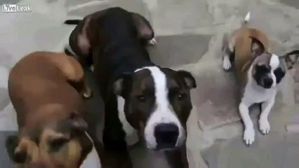 You snooze, You lose