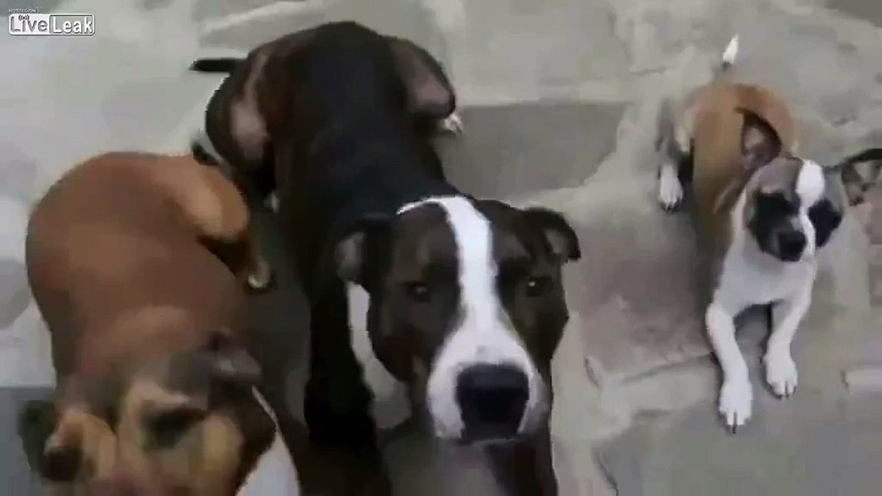 You snooze, You lose
