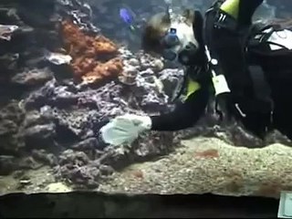 kopje koffie glazenwasser ?