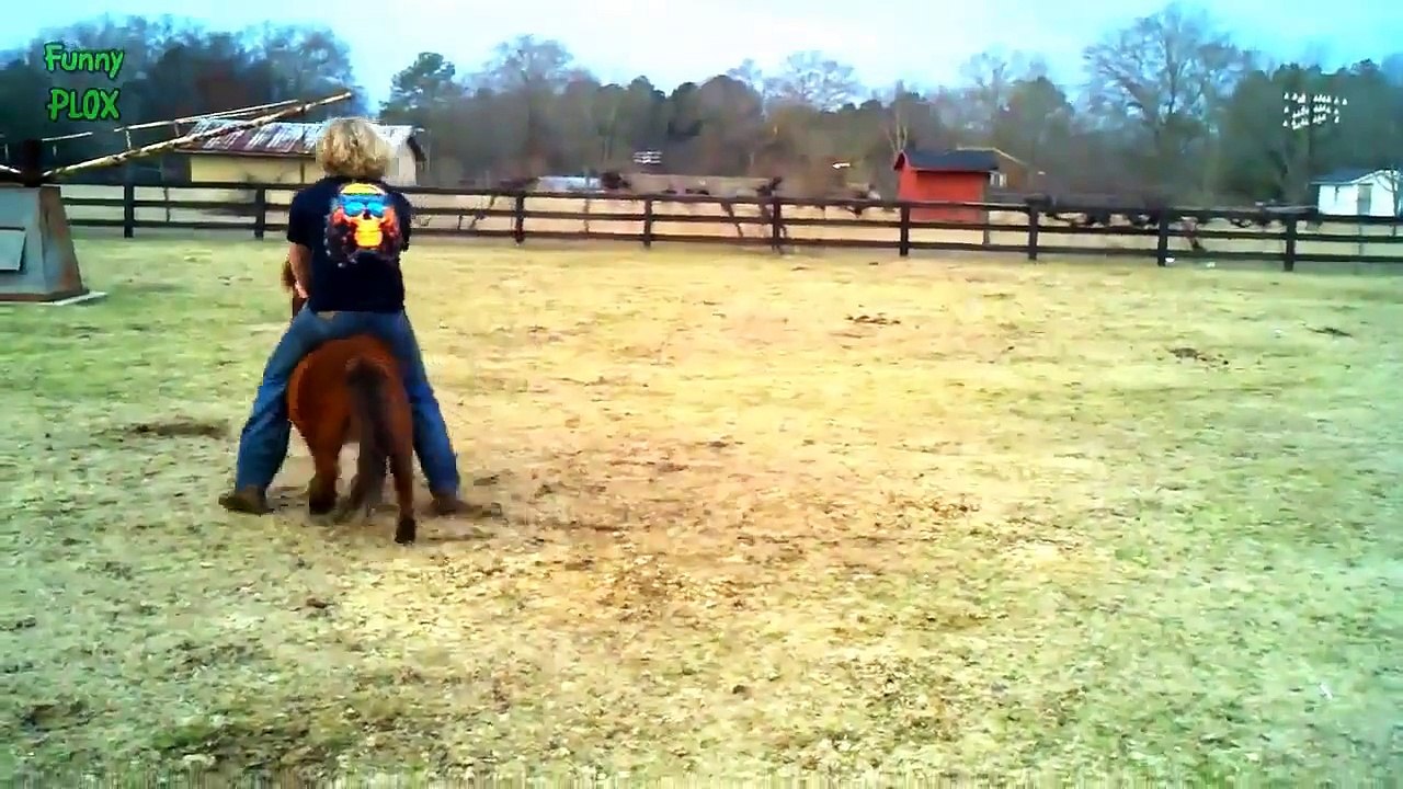 Best Funny Horses Fail Videos Compilation NEW HD | horses compilation