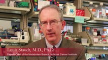 Biology Behind Targeted Therapy for Lymphomas