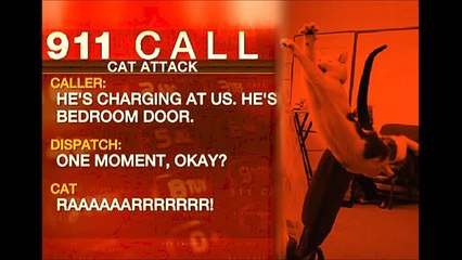Man calls 911 after his CAT attacks