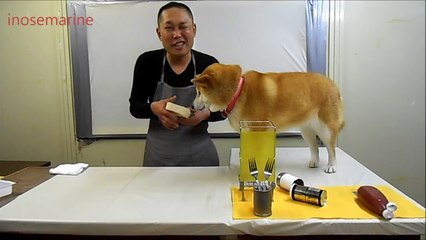 邪魔されクッキング