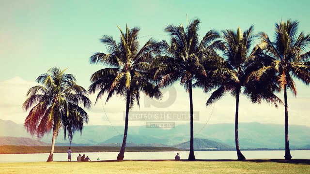 Bobby Hebb - Sunny (Anaa Remix)