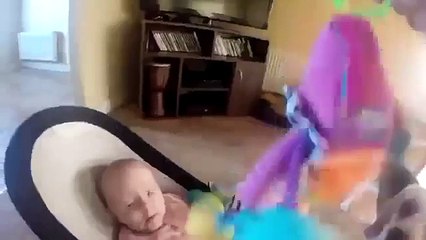 Пес приносит извинения ребенку за кражу его игрушки