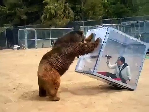 Японский 3D зоопарк