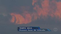 Tempo seco provoca incêndios florestais no Distrito Federal