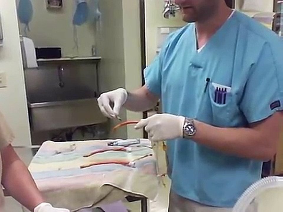 Endotracheal Intubation