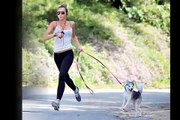 Sexiest Miley Cyrus Funny Dog Collection