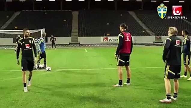 Zlatan Ibrahimovic Insane goal at Sweden training - football news videos 2015