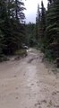 Prairie Jeeper in the Rocky Mountains coming through a mud hole