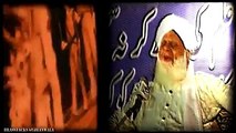 Basharat By Prof. Dr. Muhammad Maqsood Elahi Naqshbandi_In_2011