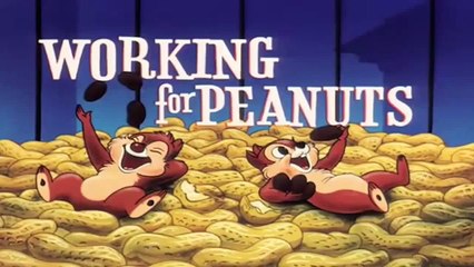 Donald Duck & Chip an` Dale Working for Peanuts Video 24
