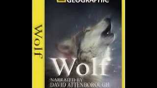 Wolf OST- Race Against The Moon Light-National geographic