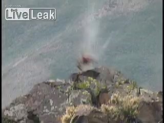 Gopher hunting with a Barrett 50 cal