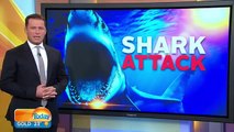 The terrifying shark video that left Karl Stefanovic speechless